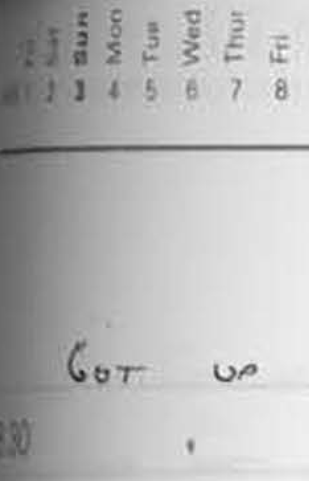 Shows a close-up of the shortest diary entry made by Andrew Collins on 17th July 1980.